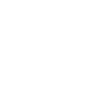 Majestic Made lion and crown logo